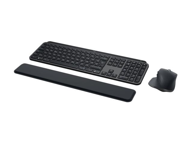 Logitech MX Keys Combo Graphite DE