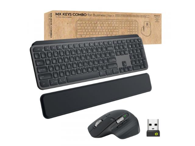 Logitech MX Keys Combo Graphite DE